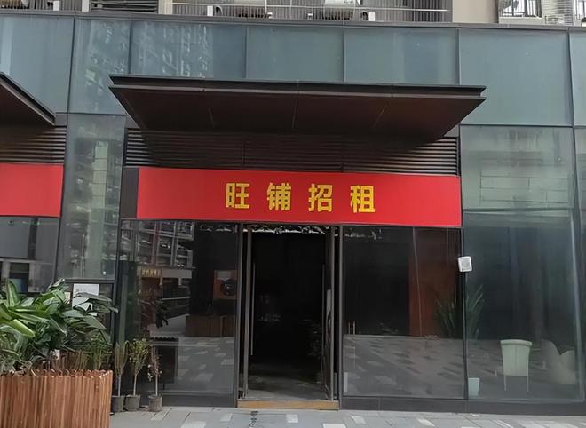 贬值最快的不是房子和股票而是这5样东西！PP电子游戏DeepSeek分析：未来(图9)