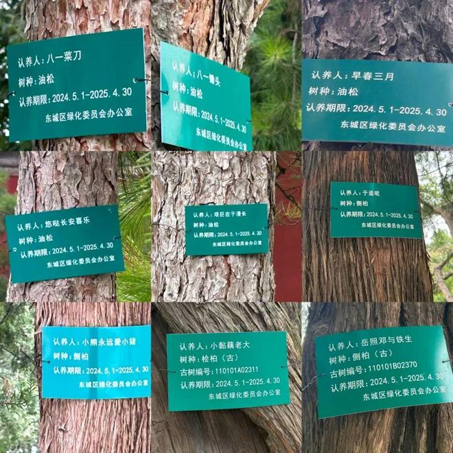 ：于情感栖息之处建造有限永恒PP电子aPP余华与铁生的树(图2)