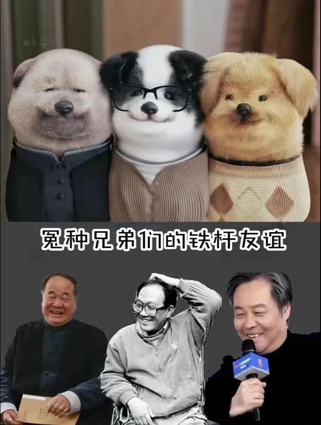 ：于情感栖息之处建造有限永恒PP电子aPP余华与铁生的树(图6)