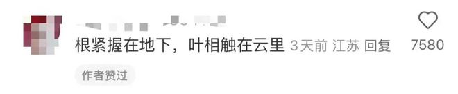 ：于情感栖息之处建造有限永恒PP电子aPP余华与铁生的树(图4)